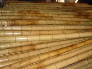 北京竹竿批发与直销渠道全指南